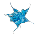 La Rosa Blu
