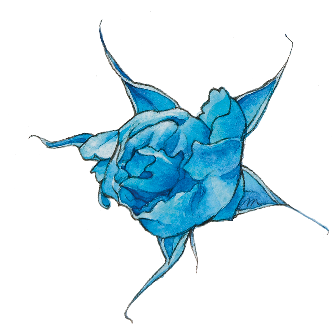 La Rosa Blu