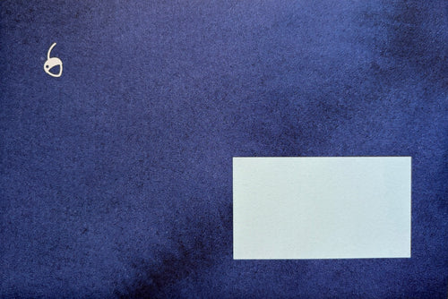 Biglietto La Lupa Blu
