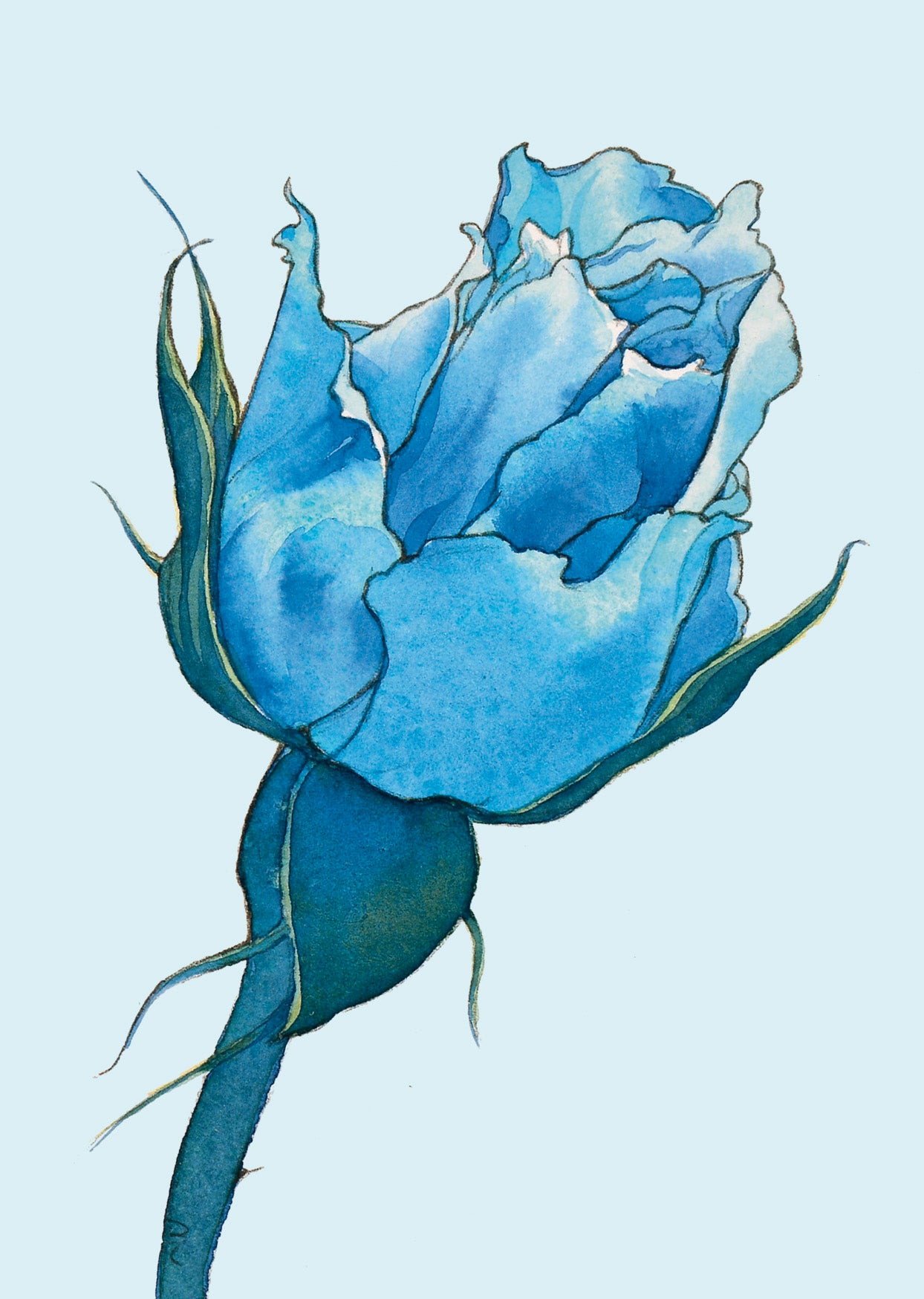 Quadernino La Rosa BLu