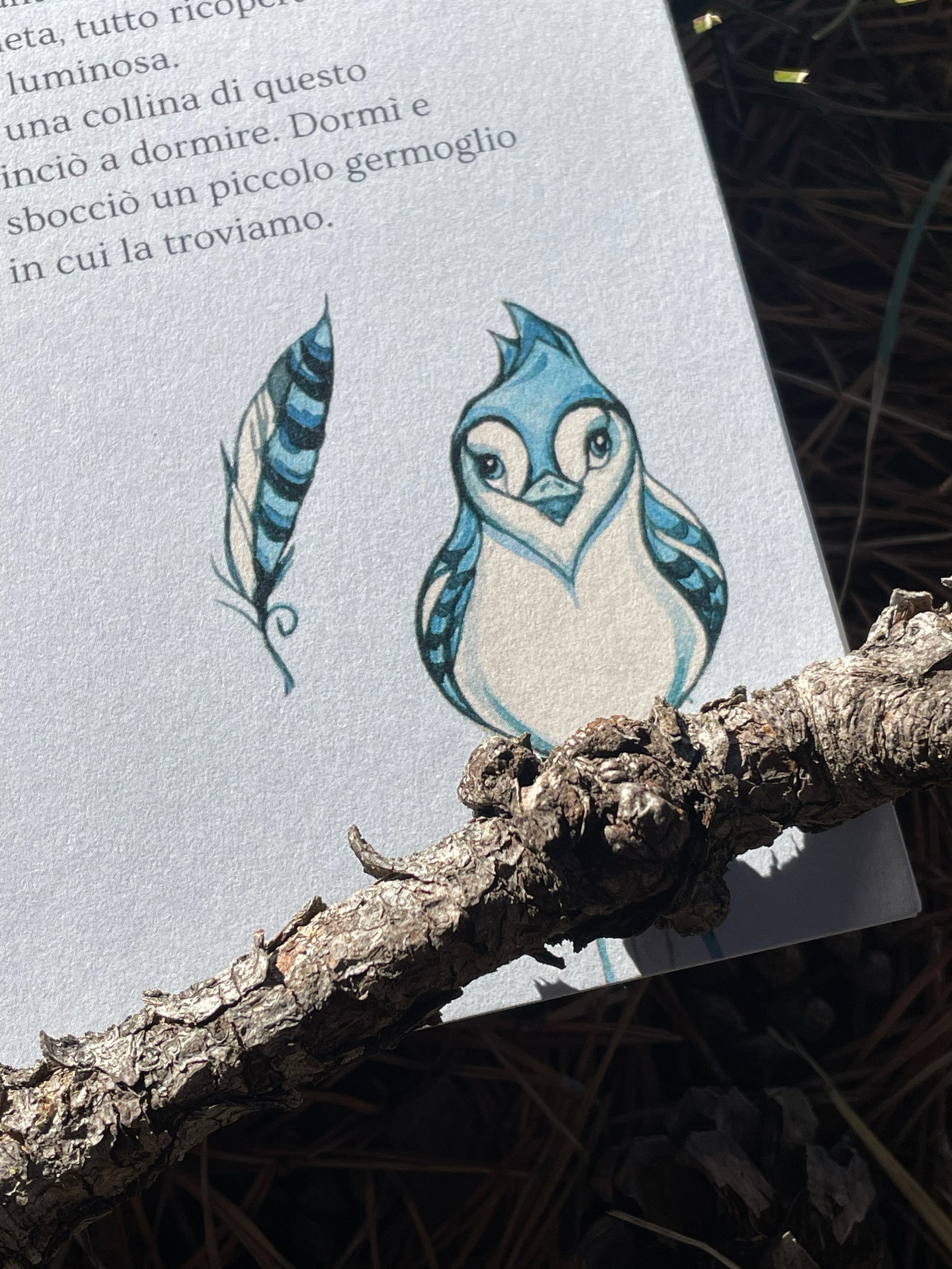 Quaderno Artistico La Ghiandaia Blu