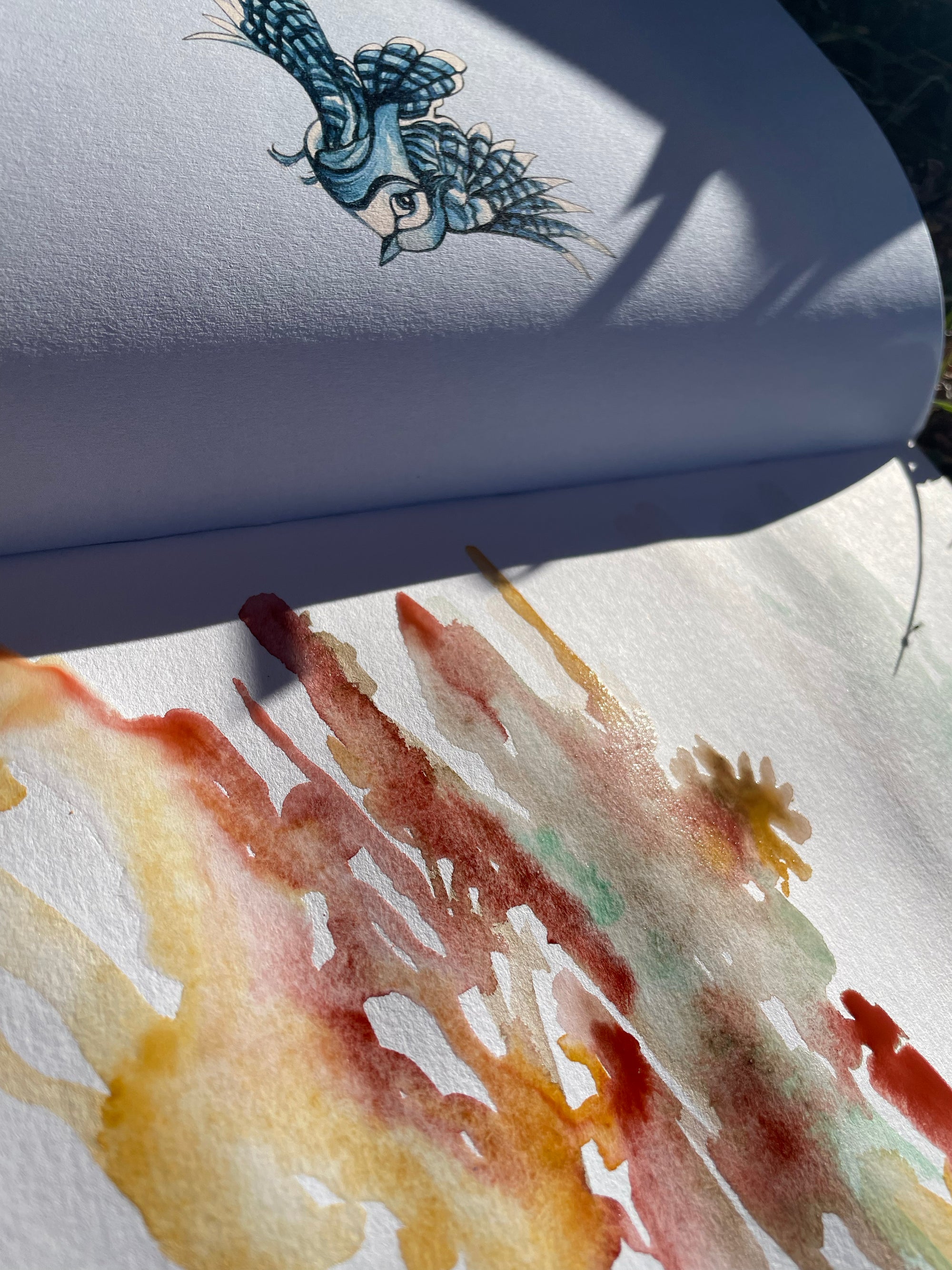 Quaderno Artistico La Ghiandaia Blu