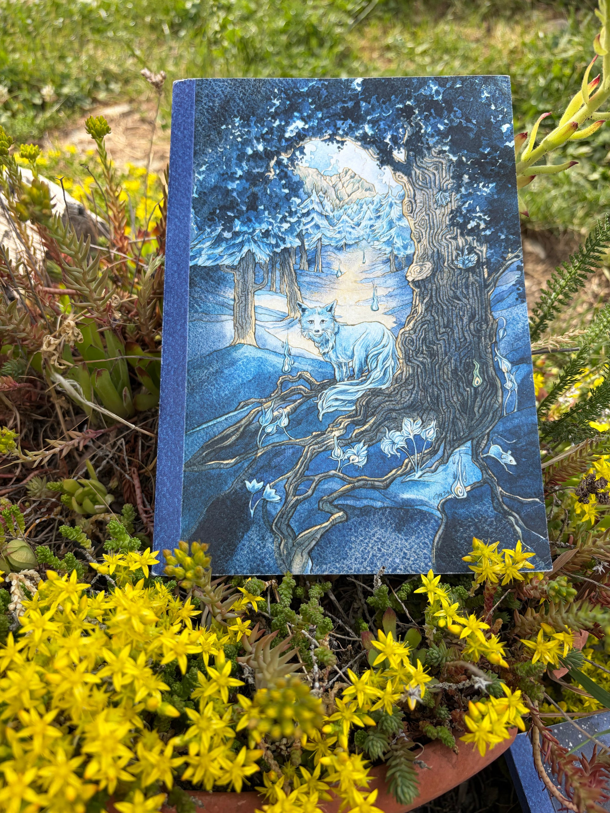 Quaderno Artistico La Volpe Blu