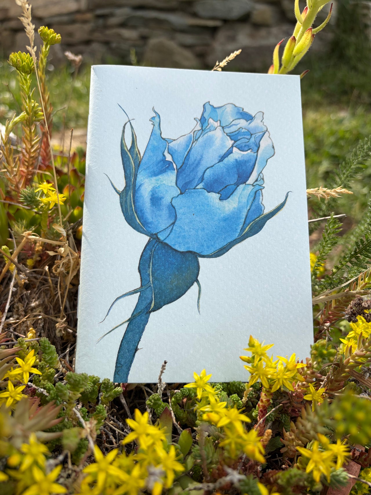 Quadernino La Rosa BLu