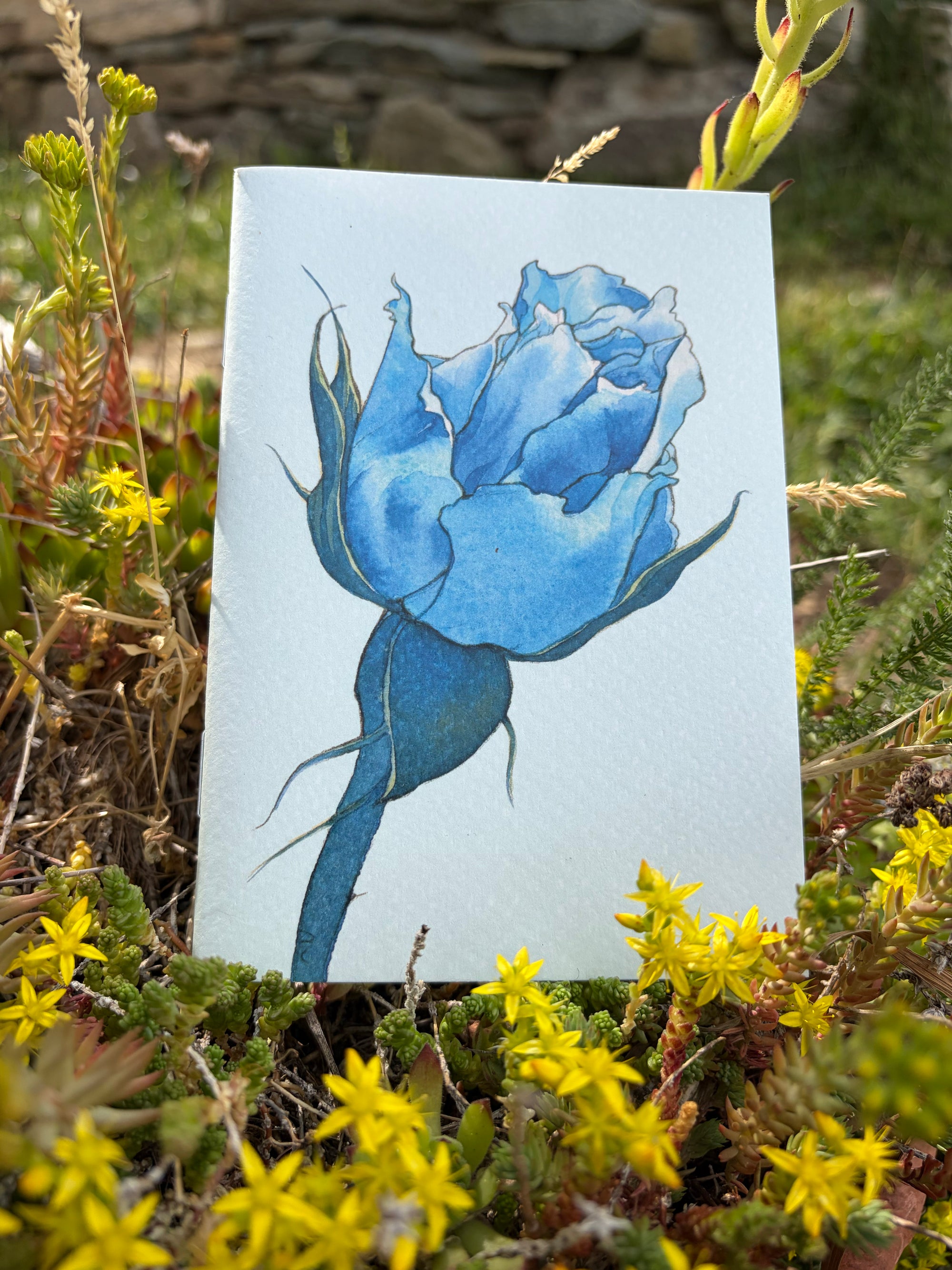 Quadernino La Rosa BLu