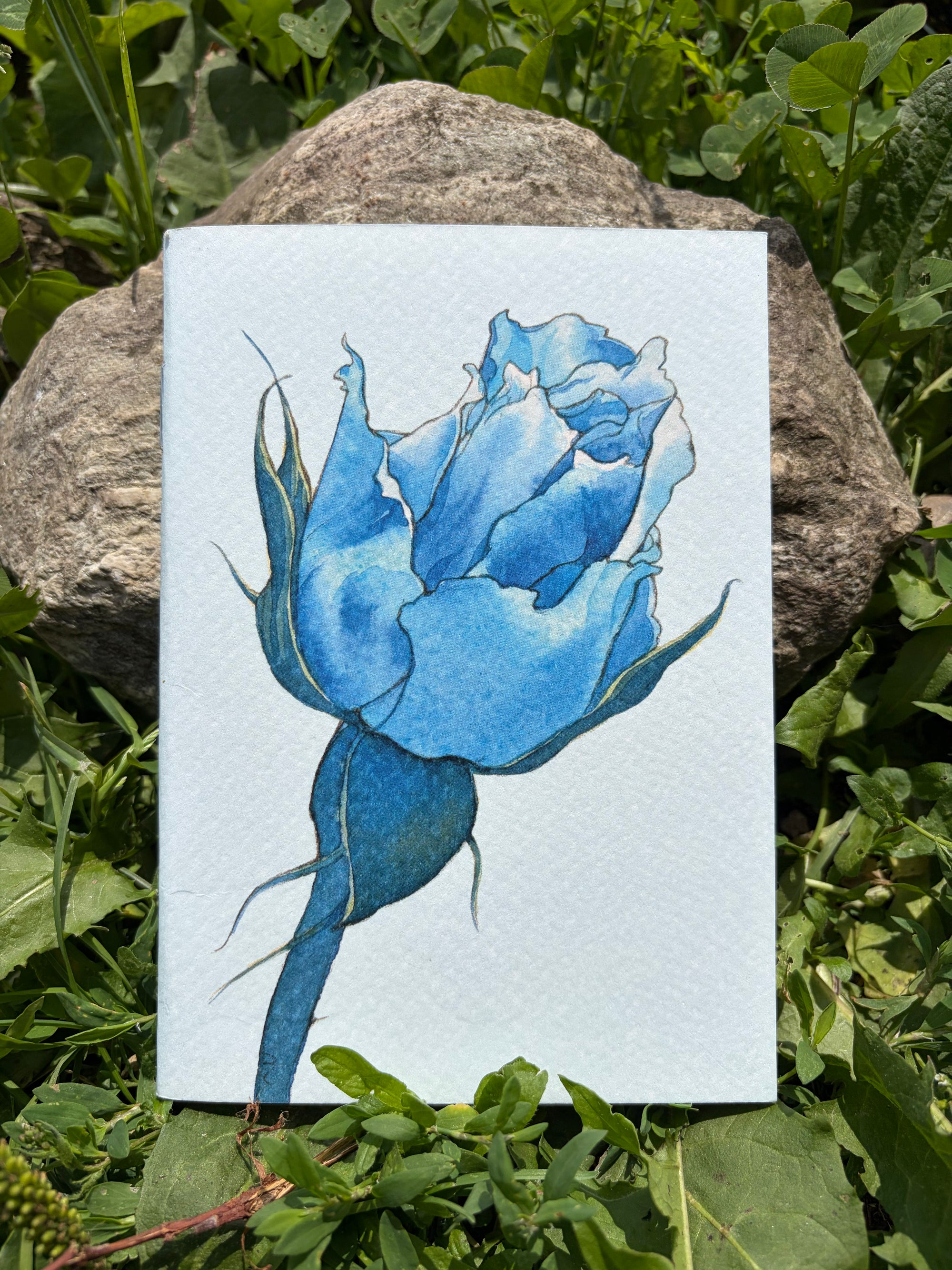 Quadernino La Rosa BLu