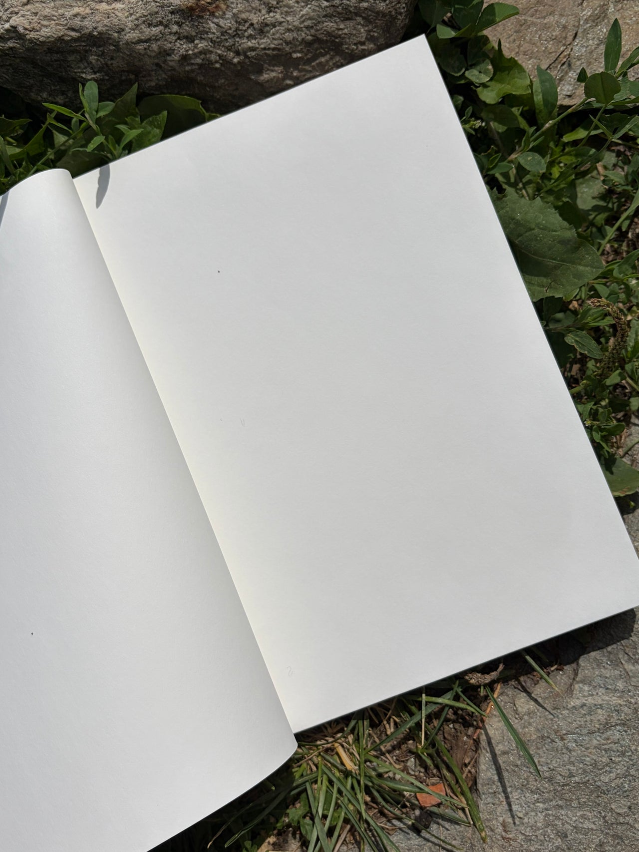 Quaderno semplice La Volpe Blu