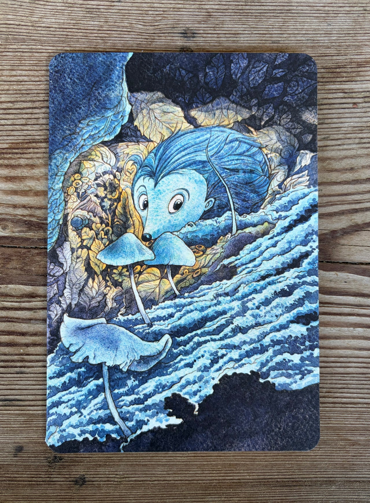 Biglietto Il Riccio Blu