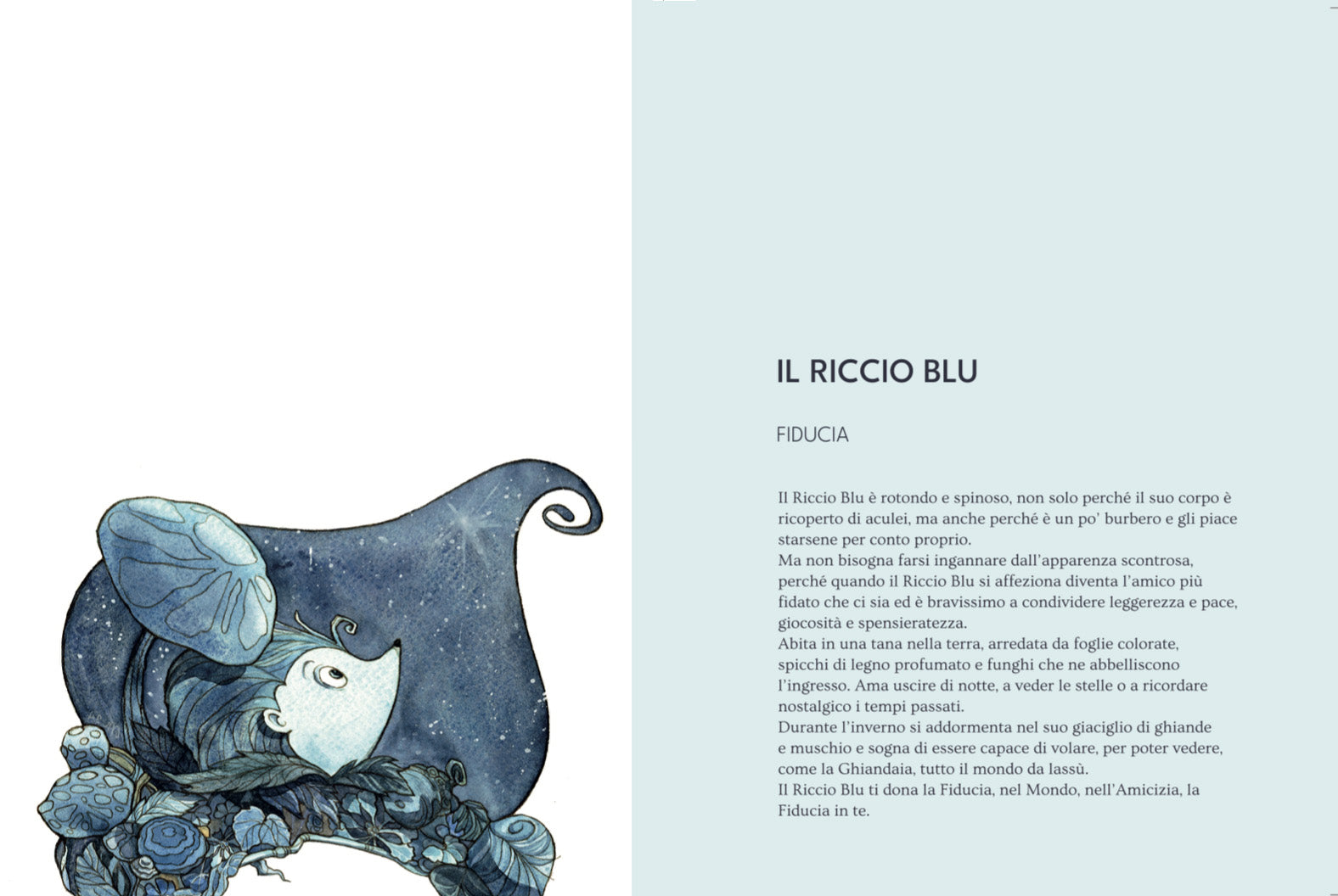 Quaderno Artistico Il Riccio Blu