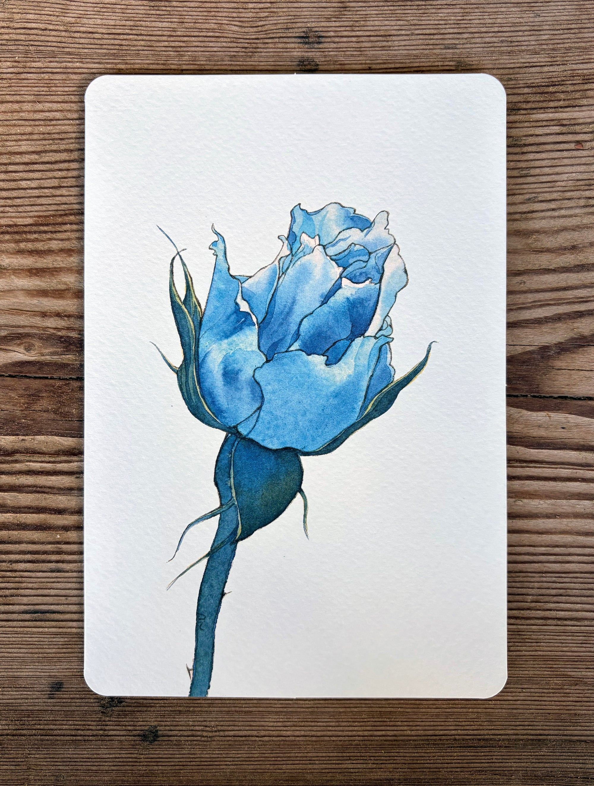 Biglietto La Rosa Blu