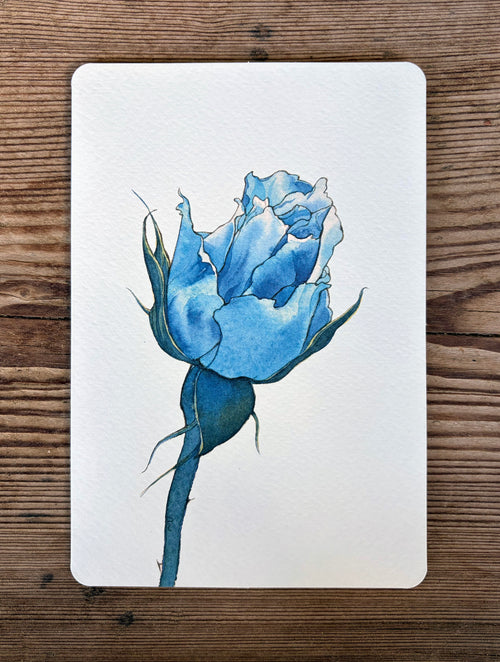 Biglietto La Rosa Blu