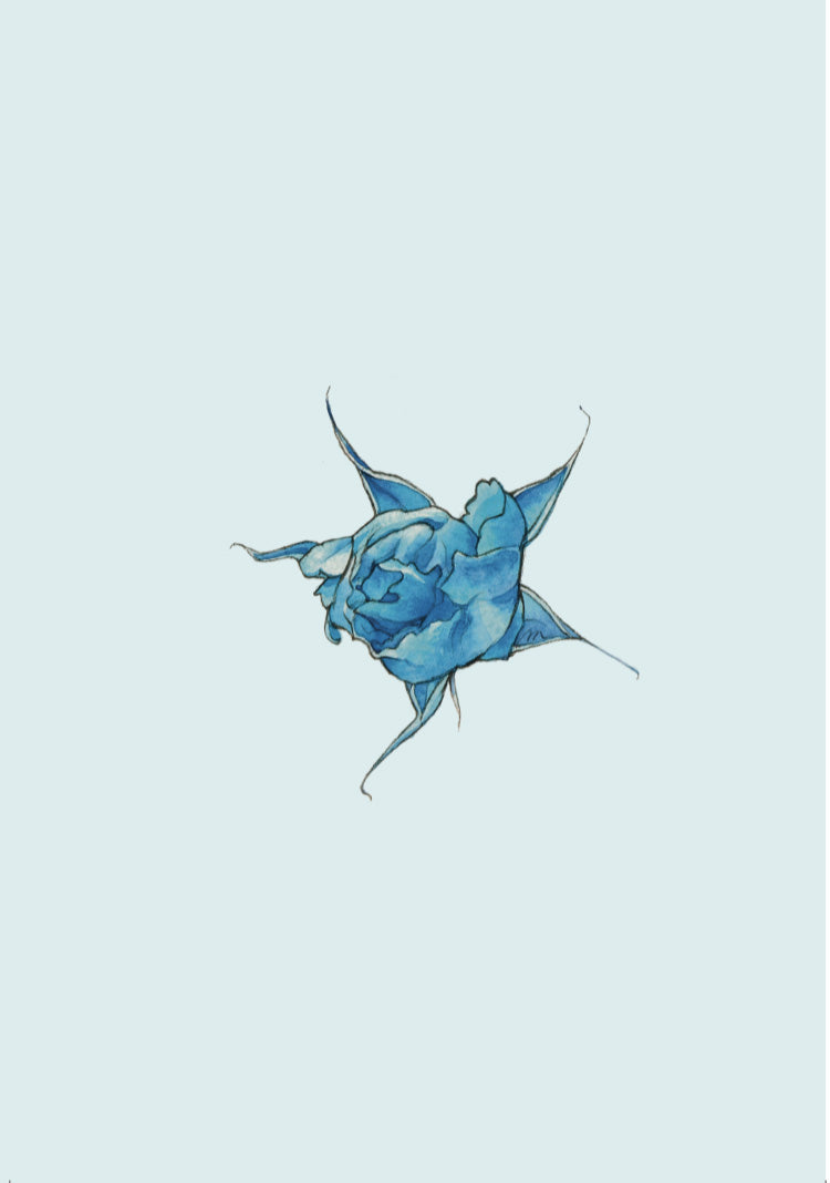 Quaderno Artistico La Rosa Blu