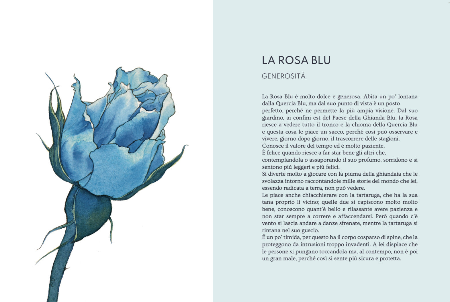 Quaderno Artistico La Rosa Blu
