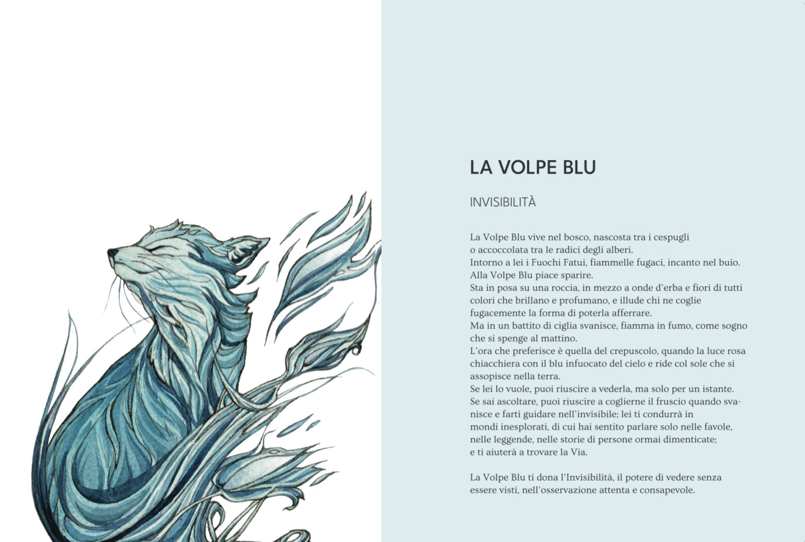 Quaderno Artistico La Volpe Blu